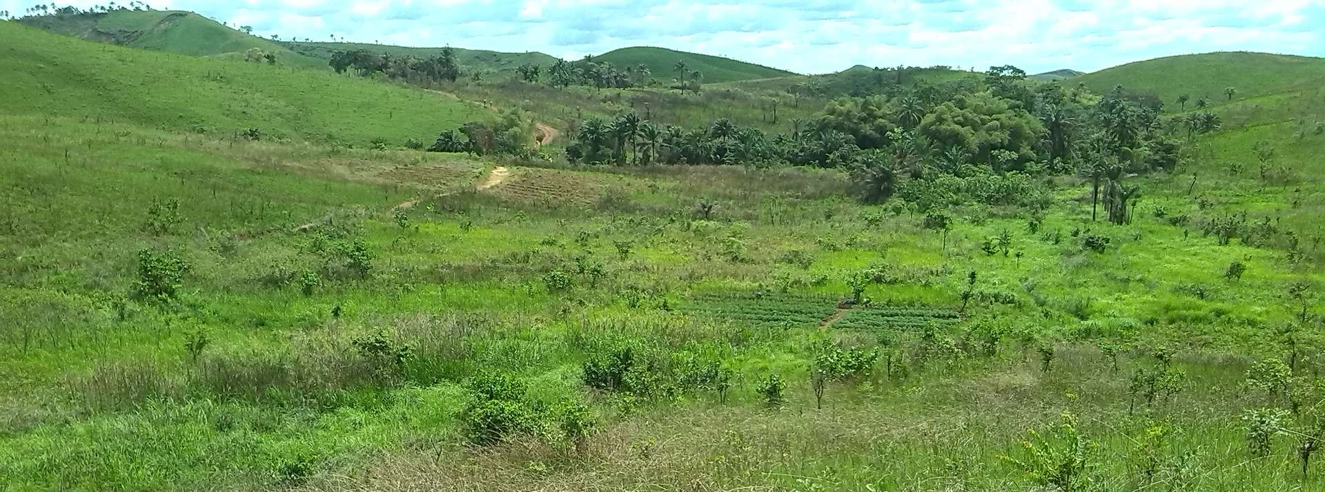 {:en}GESAC - Group for social and cooperative agricultural development{:}{:fr}GESAC - Groupe d'Exploitation Sociale Agro Communautaire{:}{:de}GESAC - Gruppe für soziale und genossenschaftliche Landwirtschaftsentwicklung{:}